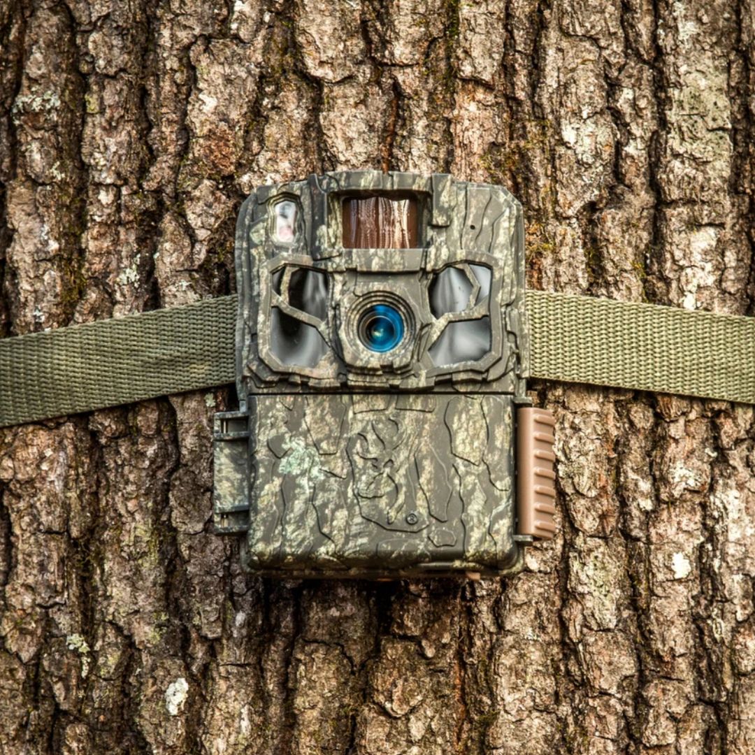 Dark Ops Pro DCL Nano