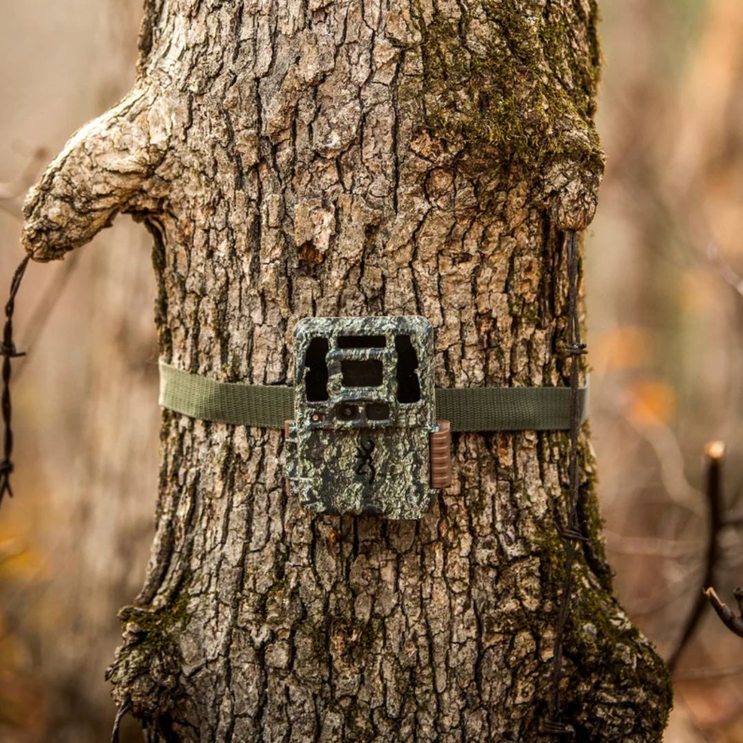 Dark Ops Pro DCL Nano