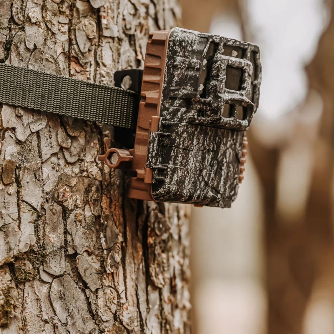 Strike Force Pro DCL Nano